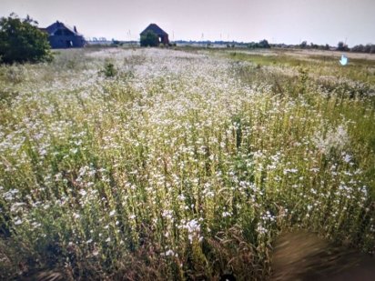 Продається ЗЕМ.ДІЛЯНКА В с.Баранинці