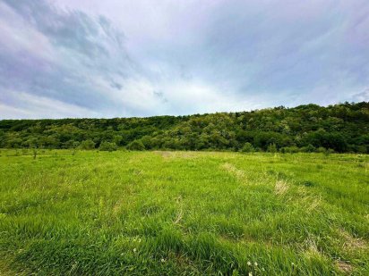 Земельна ділянка під будівництво в с. Вовчинець_M Вовчинець