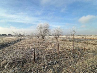 Продається  земельна ділянка під будову кінець крихівців