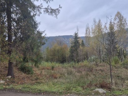 Земельна ділянка в Яремче-Микуличин Микуличин