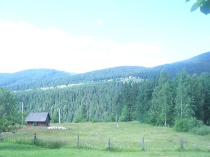 Продаж земельної ділянки в с.Микуличин,Карпати від власника 42 с Микуличин