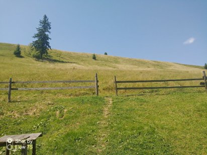 продаж земельной ділянки площею 5 гектарів Микуличин