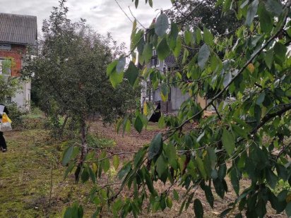 Продаж топової земельної ділянки з будинком в с. Крихівці _N Крихівці