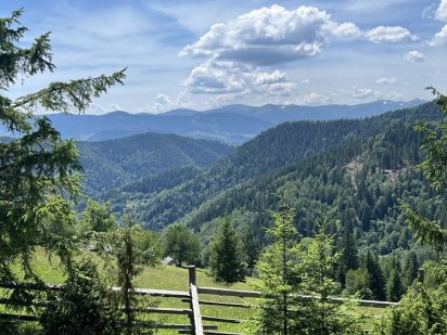 Поміняю ділянку в Микуличині на авто або квартиру Микуличин