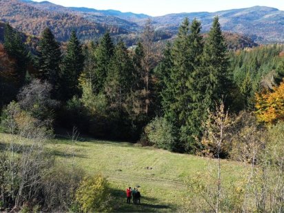 Продам ділянку Микуличин 10 сотих під будівництво(власник) у лісі Микуличин
