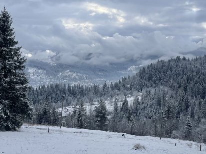 Земельні ділянки ВІД ВЛАСНИКА у Карпатах с. Микуличин