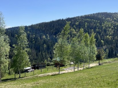 Ділянка Карпати Микуличин під будівництво від власника, торг Микуличин