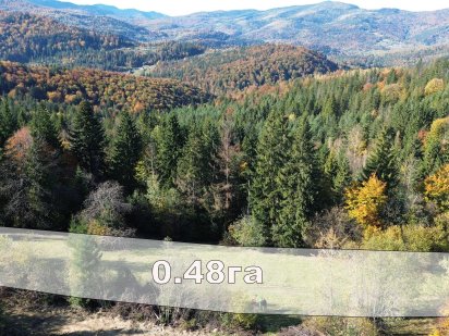 Чудова ділянка в с. Микуличин від власника під будівництво 48сот Микуличин