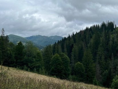 Продам ділянку Микуличин під будівництво біля потічка Микуличин