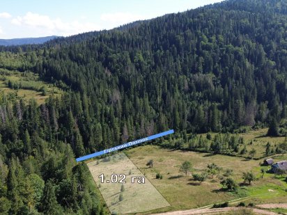 Продається ділянка в Карпатах, Микуличин 102сот під забудову, власник