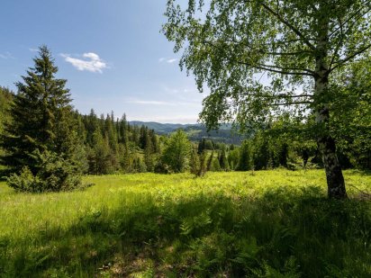Земельна ділянка с. Микуличин 129 соток Микуличин