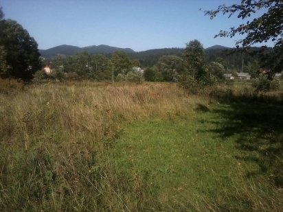 Ділянка в с. Микуличин Микуличин