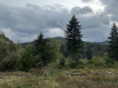 Замельна ділянка