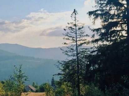 Продаж земельної ділянки 144 сот. с. Микуличин