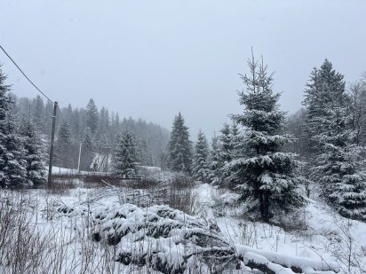 Продам земельну ділянку в Карпатах біля гірськолижного курорту Буковел