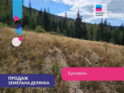 Земельна ділянка 30 соток під житлову забудову в с. Поляниця