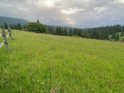 Продається ділянка в Яблуниці , в тихій місцевості з  краєвидами Яблуница
