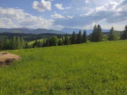 Продам земельну ділянку в Карпатах Яблуниця від 5 сотин