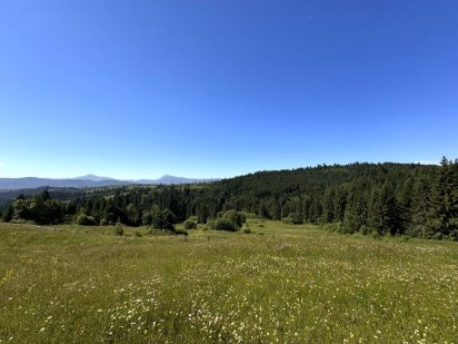 Земельна ділянка в тихому і затишному місці Яблуница