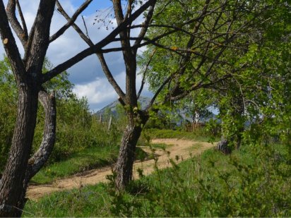 Земельна ділянка в Карпатах , в Яблуниці 0,2500 га 0,5000га. Яблуниця