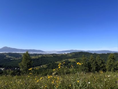 Видова земельна ділянка в Яблуниці, Карпати.