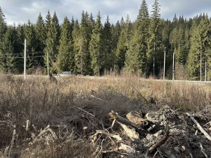 Продається фасадна ділянка в Поляниці Буковель