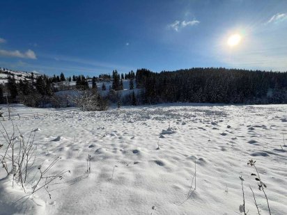 Земельна ділянка 0,50 га, с. Яблуниця (панорамна, рівнинна, струмок)