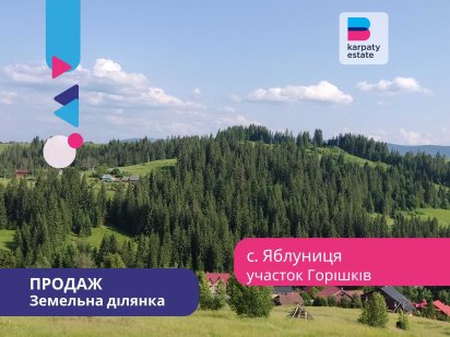 Земельна ділянка 1 га с/г призначення в с. Яблуниця