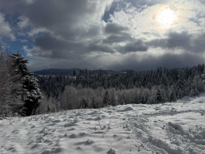 Земельна ділянка 0,50 га, село Яблуниця (панорама Говерла-Петрос)