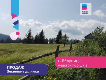 Земельна ділянка біля полонини Перців з двома підїздами в с. Яблуниця