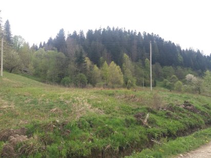 Продаж ділянки неподалік річки Прут