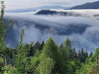 Продам зимельну ділянку в Карпатах .