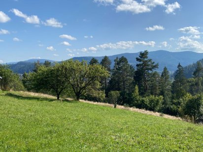 Видова ділянка, 42 соти. 700 метрів від асфальту