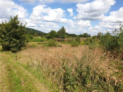 Продається земельна ділянка в м.Надвірна Надворная