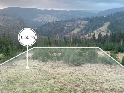 Земельна ділянка 0.60 га в Микуличині