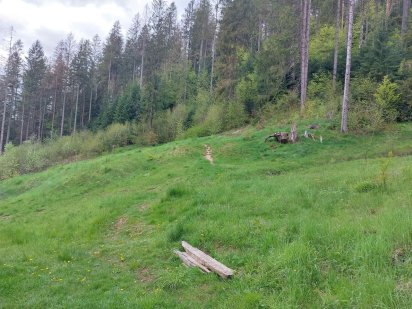 Продаж земельної ділянки в селі Микуличин