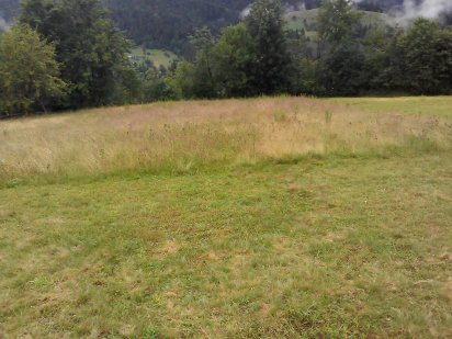 Продаю гарну земельну ділянку у Карпатах