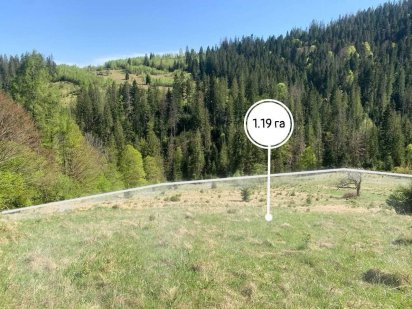 Земельна ділянка в Микуличині 1.19 га. Микуличин