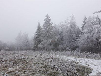Земля поблизу Буковеля Надворная