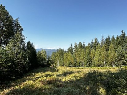 Земельна ділянка 0.36 га зі світлом 20 кВ Микуличин Карпати Буковель