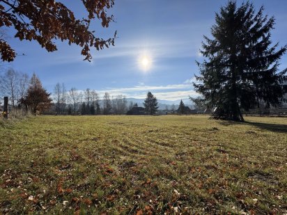 Земельна ділянка 0,30 га, с. Микуличин