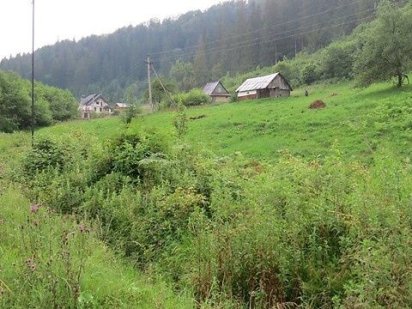 Земельна ділянка Микуличин