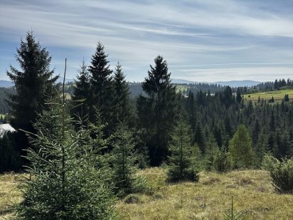 Земельна ділянка Яблуниця Яблуница