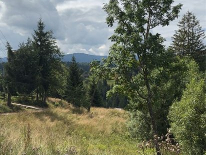 Продається земельна ділянка в селі Яблуниця