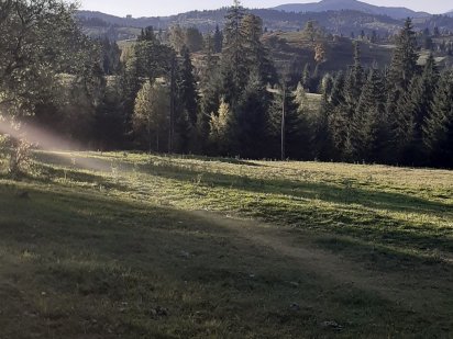 Приватна ділянка. Яблуница