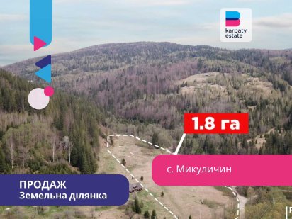 Топова ділянка під відпочинковий бізнес в Карпатах