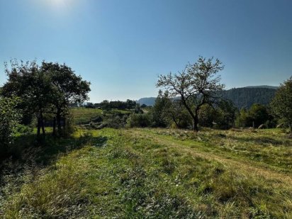 Продаж!Земельна ділянка в с.Микуличин!