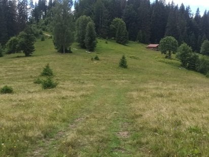 Продається земельна ділянка в смт Ворохта НЕДОРОГО