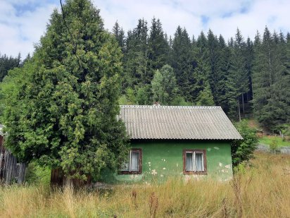 Дві ділянки 31 сотка, та пів хати. Ліс, річка. Світ, криниця, асфальт Ворохта