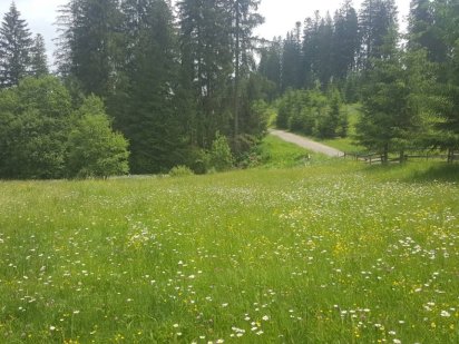 Земельна ділянка Ворохта